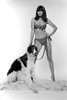 Animals: Unusual: Glamour. January 1977 77-00085 Animals: Unusual: Glamour. January 1977 77-00085