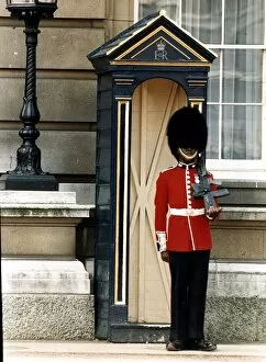 Images Dated 15th May 1988: Army Regiments Richard Grant Stokes first black Guardsman on duty outside Buckingham