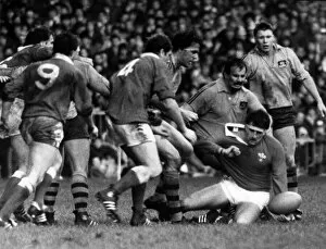 Images Dated 24th November 1984: Australia 28-9 Wales, Australian 1984 rugby union tour of Britain and Ireland, Match 12