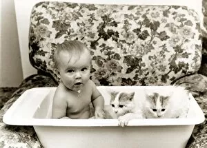 A baby in a bath with two kittens