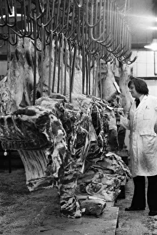 Mirror/0700to0799 00759/beef smithfield market 9th july 1974 Mirror/0700to0799 00759/beef smithfield market 9th july 1974
