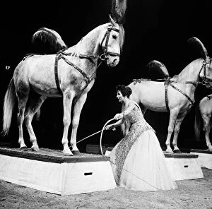 Archiveids Gallery: Bertram Mills Circus, a woman who performs with horses. 19th December 1958