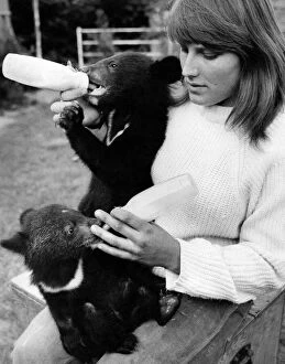 Images Dated 15th June 1971: Beth Reed with Tinker and Tucker, the yound bear cubs and her pet Great Dane Rio