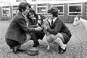 Betty the goat goes to school: Sallie and Jean with help of teacher Miss Angela