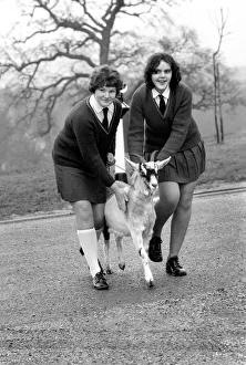 Betty the goat goes to school: Sallie Price (white socks Betty the goat goes to school: Sallie Price (white socks