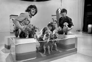 Blue Peter appeal for blind smashes through target. Lesley Judd Blue Peter appeal for blind smashes through target. Lesley Judd