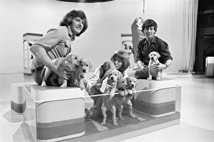 Blue Peter's recently launched 3B's appeal for 2, 000 Blue Peter's recently launched 3B's appeal for 2, 000