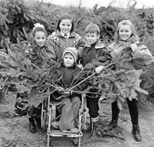 Bobby Keeley gets some help collecting christmas trees from left to right Bianca Sherlock Bobby Keeley gets some help collecting christmas trees from left to right Bianca Sherlock