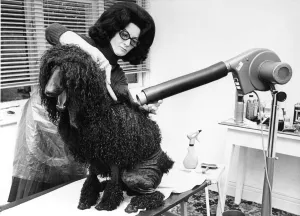 A Bonatrice standard Poodle with her owner A Bonatrice standard Poodle with her owner