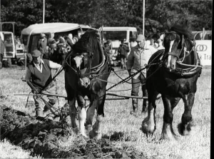 Brailsford ploughing match 15th October 1981 Brailsford ploughing match 15th October 1981
