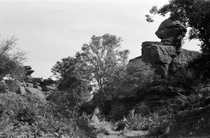 Brimham Rocks above Nipperdale, North Yorkshire. September 1971 Brimham Rocks above Nipperdale, North Yorkshire. September 1971