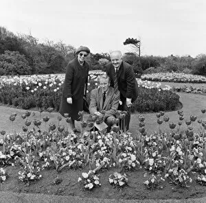 Images Dated 1st March 1971: Britain in Bloom judges in Redcar. 1971