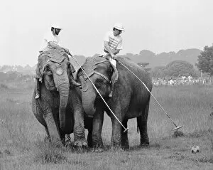 Images Dated 7th July 1987: British Elephant Polo Championships July 1987 Practise Session Robert