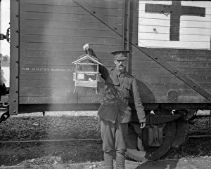 A British medical orderly seen here holding a bird donated by a French woman to A British medical orderly seen here holding a bird donated by a French woman to