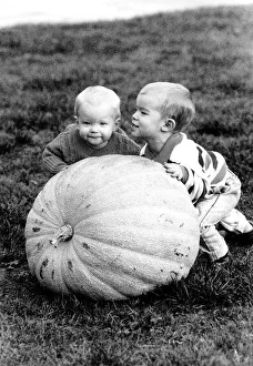 Brothers Jake Hawkins 3 and Sam Hawkins 1 with their Giant Pumpkin Vegetables Brothers Jake Hawkins 3 and Sam Hawkins 1 with their Giant Pumpkin Vegetables