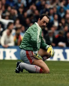Images Dated 23rd October 1989: Bruce Grobbelaar Liverpool goalkeeper at the Southampton match 1989