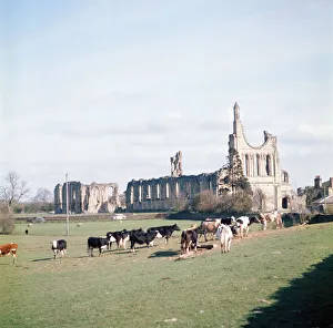 Byland Abbey, Ryedale, North Yorkshire. April 1974 Byland Abbey, Ryedale, North Yorkshire. April 1974
