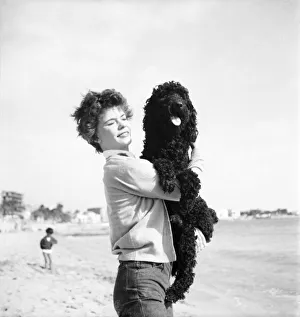 Cannes Film Festival 1953 Michelle Farmer Swanson seen here on the Beach at Cannes with Cannes Film Festival 1953 Michelle Farmer Swanson seen here on the Beach at Cannes with