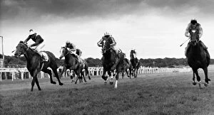 Images Dated 27th July 1987: Get Carter.... and top jockey Steve Couthen couldn t at Gosforth Park