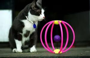 Images Dated 14th December 1997: Cat toys for Christmas December 1997 cat scatter Dofos pet shop