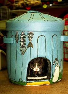 Images Dated 14th December 1997: Cat toys for Christmas December 1997 dustbin cat bed Dofos pet shop