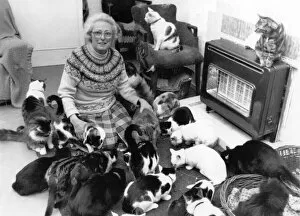 Images Dated 31st July 1988: Cats Galore Sylvia Phillips with a few of her friends
