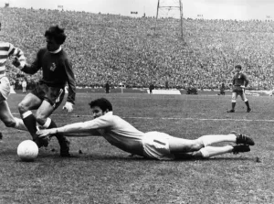Images Dated 24th November 1970: Celtic keeper Evan Williams at full stretch. 1970