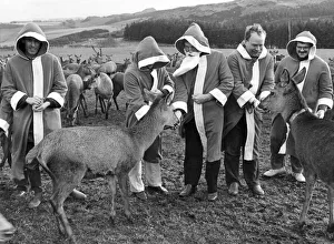 December Gallery: 12 Dec 1984 Collection