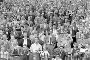 00229 Gallery: Chelsea supporters seen here in the stands at Stamford Bridge