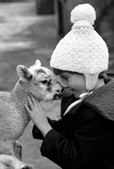 Children/Animals/Cute. Lamb and Child. December 1976 76-07533 Children/Animals/Cute. Lamb and Child. December 1976 76-07533