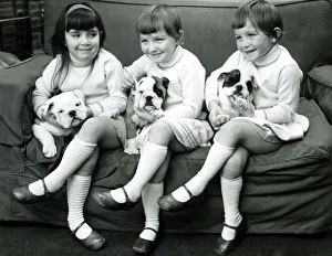 Children Animals Dogs Bulldogs Two sets of triplets Children Animals Dogs Bulldogs Two sets of triplets