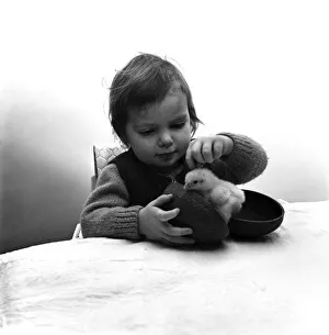Children, Animals, Easter Chick, Egg. Diane Petrie and Chick Children, Animals, Easter Chick, Egg. Diane Petrie and Chick