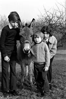 Mirror/0000to0099 00049/children donkey february 1975 75 00759 002