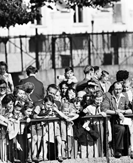 Children looking at animals at London Zoo. 21st September 1953 Children looking at animals at London Zoo. 21st September 1953