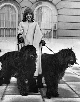 To Cilla Black, they're not just dogs. They're her friends, sophie and Ada