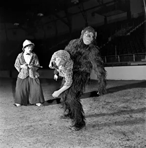 Circus Clowns Big game hunter Charlie tries to capture escaped gorilla Elvira at Circus Clowns Big game hunter Charlie tries to capture escaped gorilla Elvira at