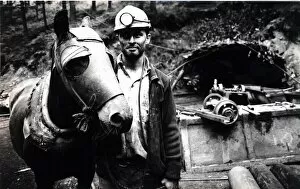 Images Dated 12th June 1990: Coal - Miners - Miner Jonathan Jeffreys with his pit pony - Brecon - 12th June 1990