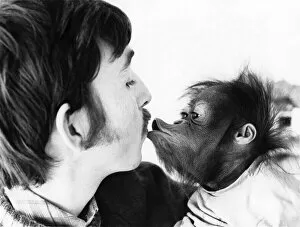 Images Dated 1st March 1974: When Cody is around, better not call him a monkey. Hes an orang utan