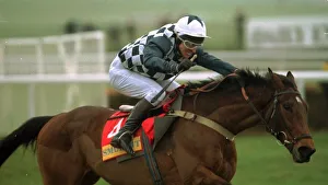 Collier Bay winning the Champion Hurdle at Cheltenham Collier Bay winning the Champion Hurdle at Cheltenham
