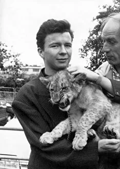 Images Dated 2nd August 1988: Cool cat Rick Astley nearly had kittens when this budding big cat grabbed his attention