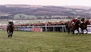 Racehorses Gallery: Cool Ground Wins The 1992 Cheltenham Gold Cup In A Driving Finish From The French Horse