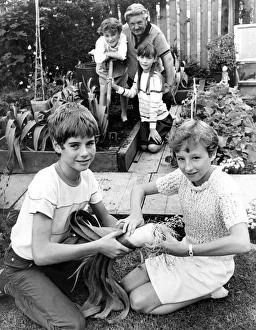 Craig Smith and Gail Smith measure the size of a leek, watched by Joanne Kindley Craig Smith and Gail Smith measure the size of a leek, watched by Joanne Kindley