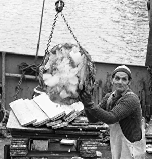 Crewman of the Trawler Marbi Larde seen here unloading their catch at the Hull Fish Dock Crewman of the Trawler Marbi Larde seen here unloading their catch at the Hull Fish Dock