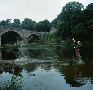 Crime Poaching August 1981 salmon bailiffs on bank of River Tweed holding nets Crime Poaching August 1981 salmon bailiffs on bank of River Tweed holding nets