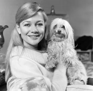 The Crufts show from 12th-14th February will have anew feature this year The Crufts show from 12th-14th February will have anew feature this year
