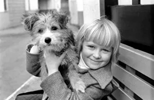 Images Dated 2nd January 1980: Cute children and Animals: Young girl holding her puppy dog. January 1980 80-00007-004