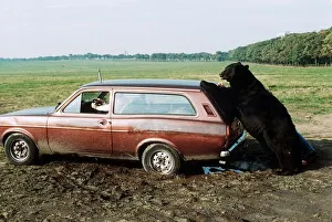 00137 Gallery: Daley the Bear - October 1988 who stars in a film called '
