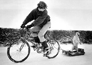 Images Dated 8th February 1991: Daniel Unsworth (16) takes his dog Dixie for a ride on a sledge towed behind his bicycle