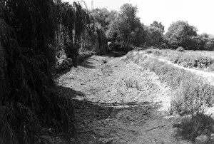 Images Dated 7th July 1976: Death of a river July 1976 The Darent at Farningham
