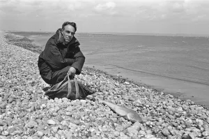 Images Dated 12th May 1989: Derek Jarman, English film director, stage designer, diarist, artist, gardener
